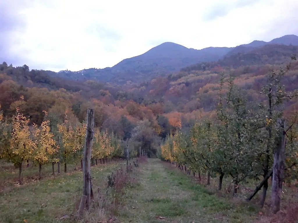 Il Melo Villa Fivizzano Italy
