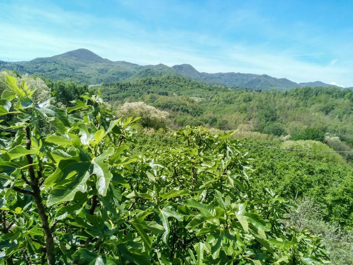 Il Melo Villa Fivizzano